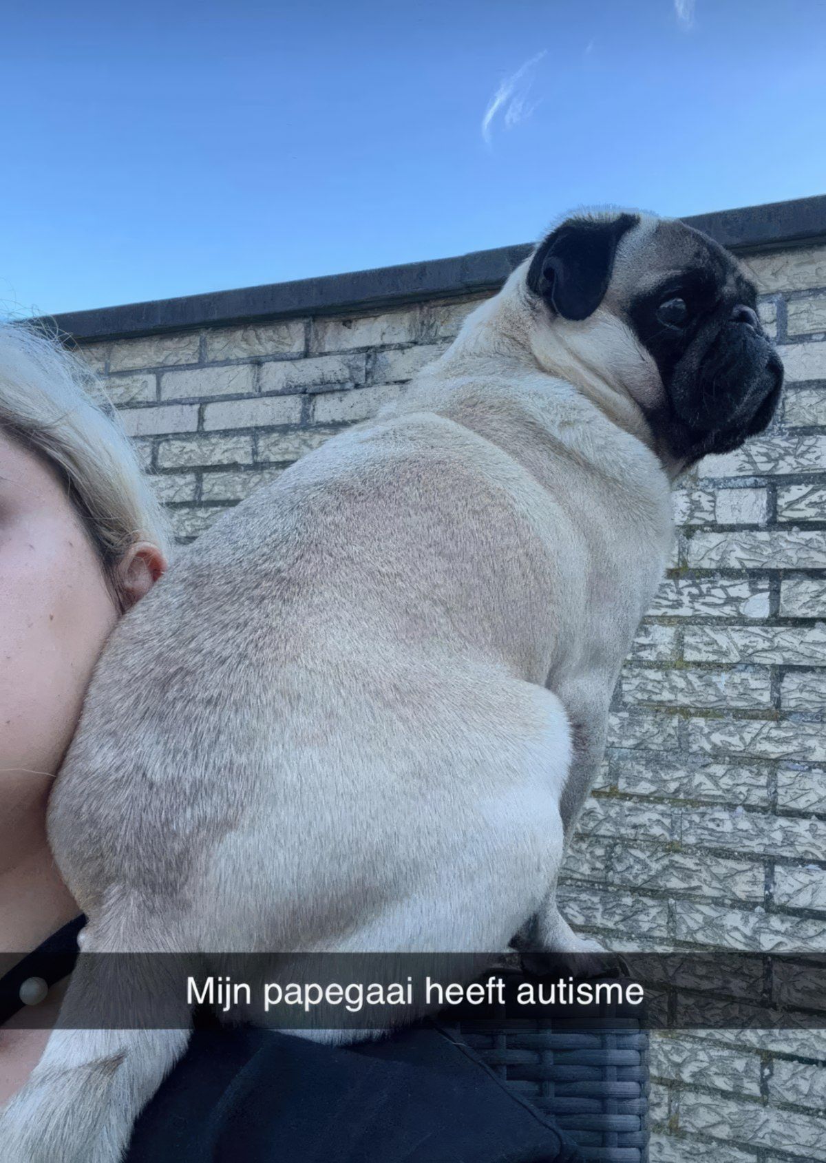 Gewoon een verzameling hilarische foto's #1800