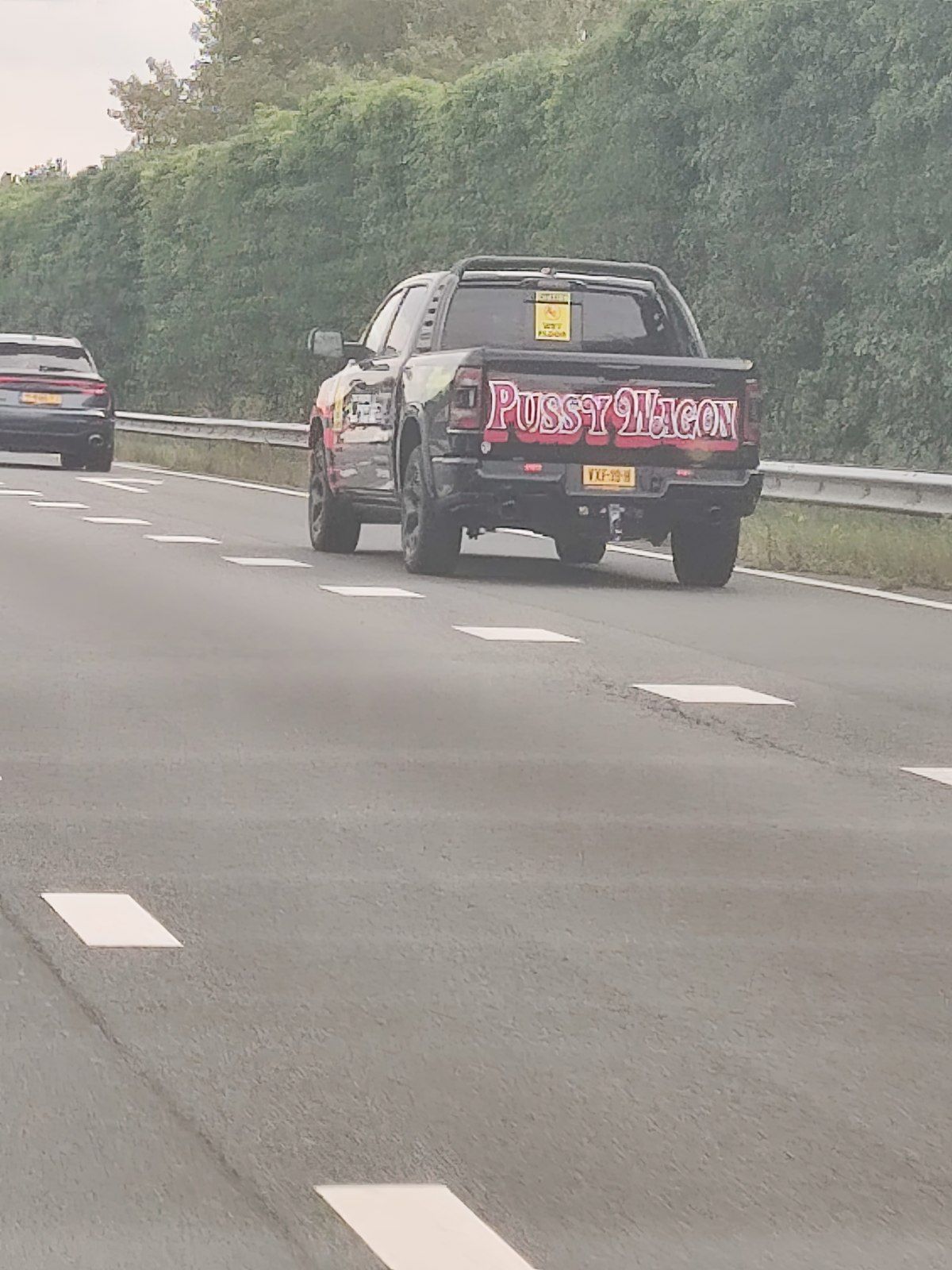 Gewoon een verzameling hilarische foto's #1800
