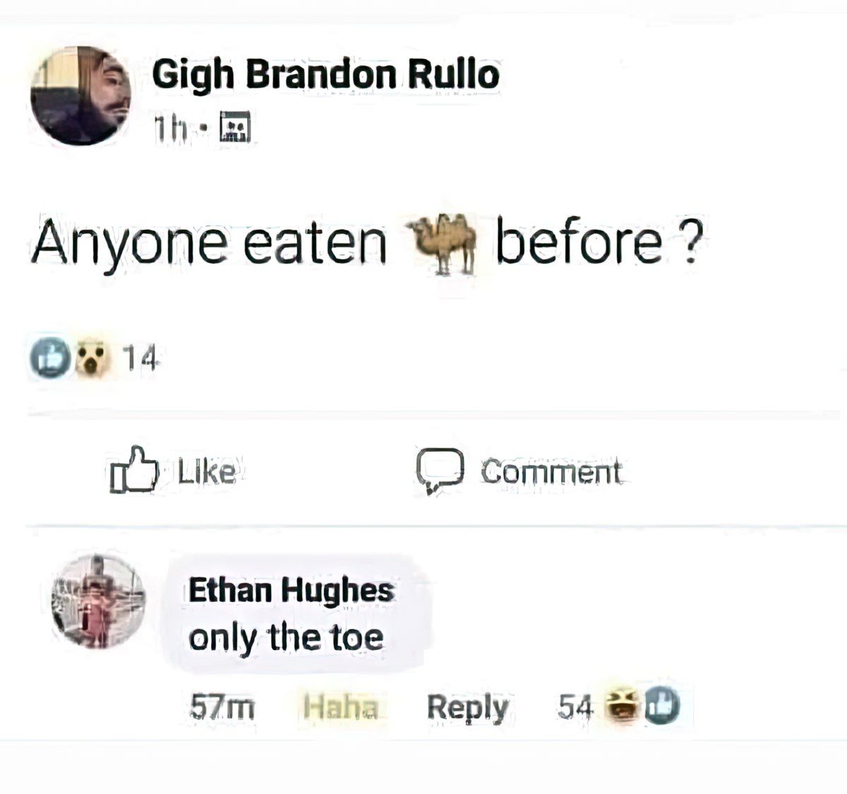 Gewoon een verzameling hilarische foto's #1800