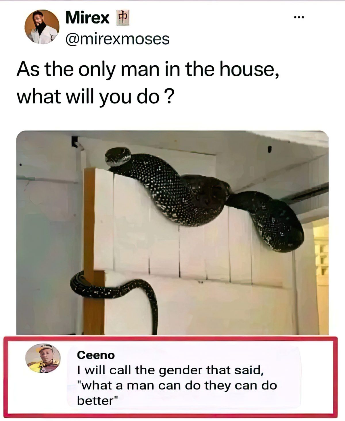 Gewoon een verzameling hilarische foto's #1800