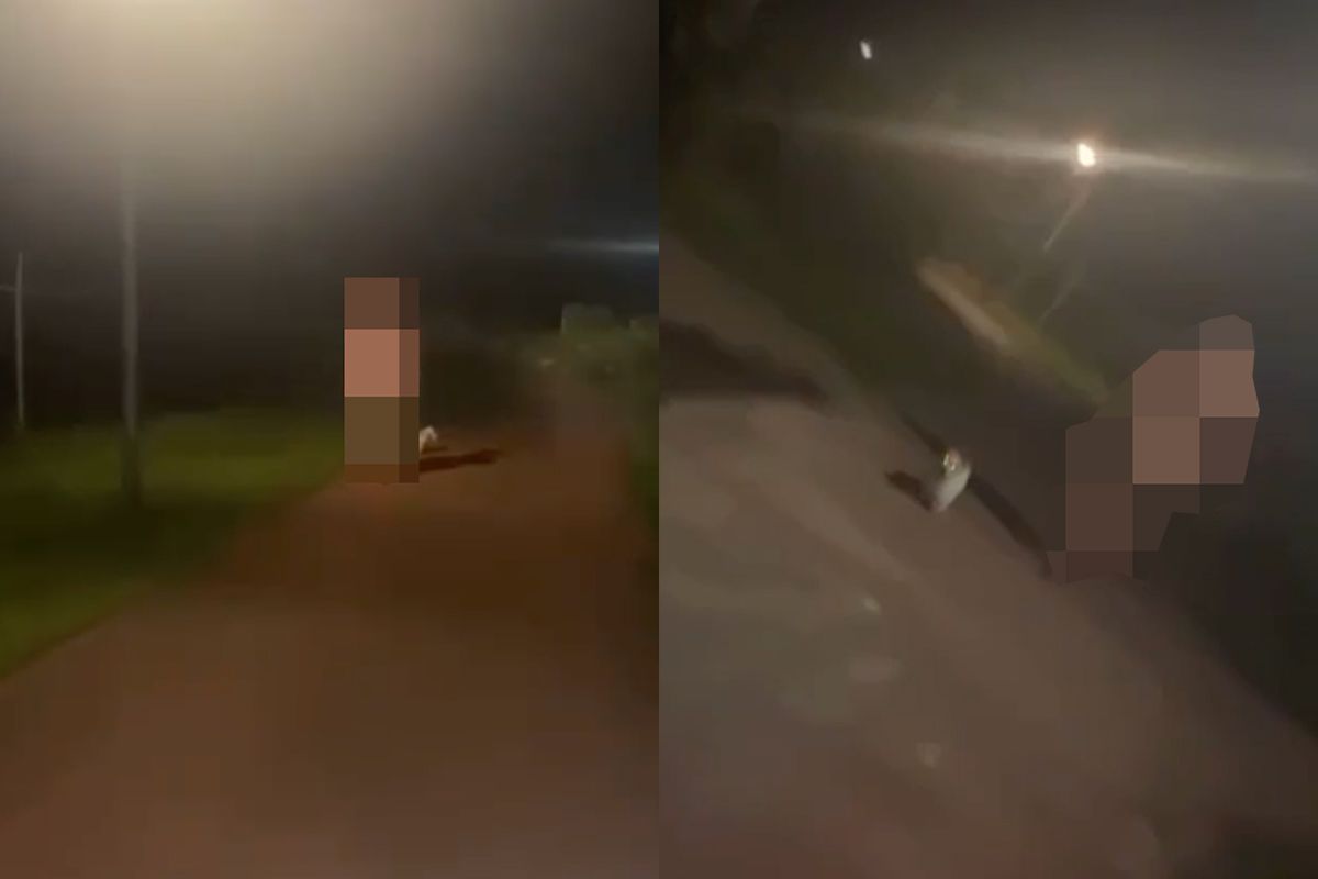 Naakte man in Schiedam laat hond uit: "Mannen zijn gek tegenwoordig"