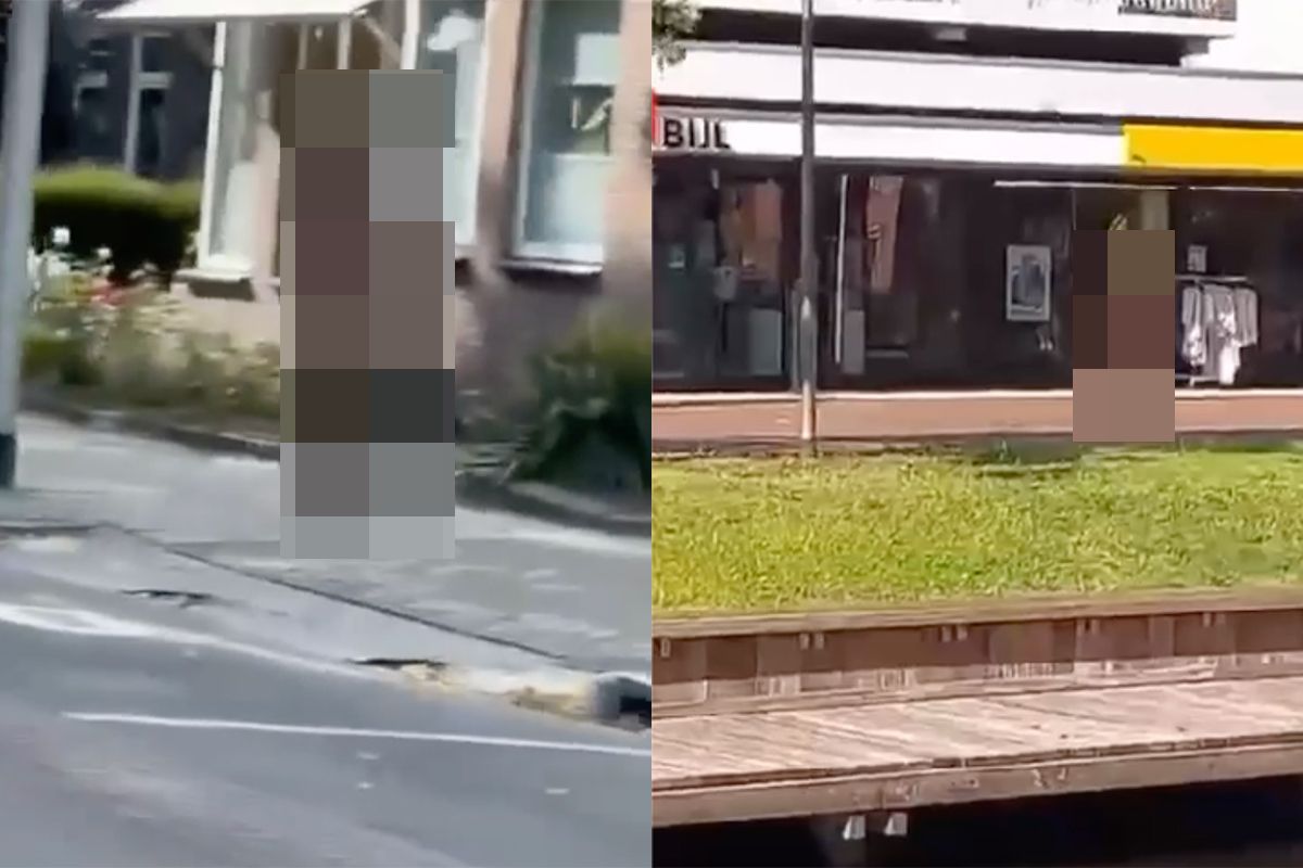 Even klikken op het plaatje om de video te bekijken. Let op, tikkie gewaagde beelden.