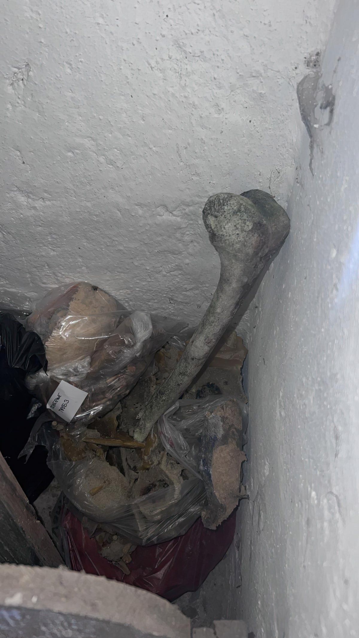 Gewoon een verzameling hilarische foto's #1801