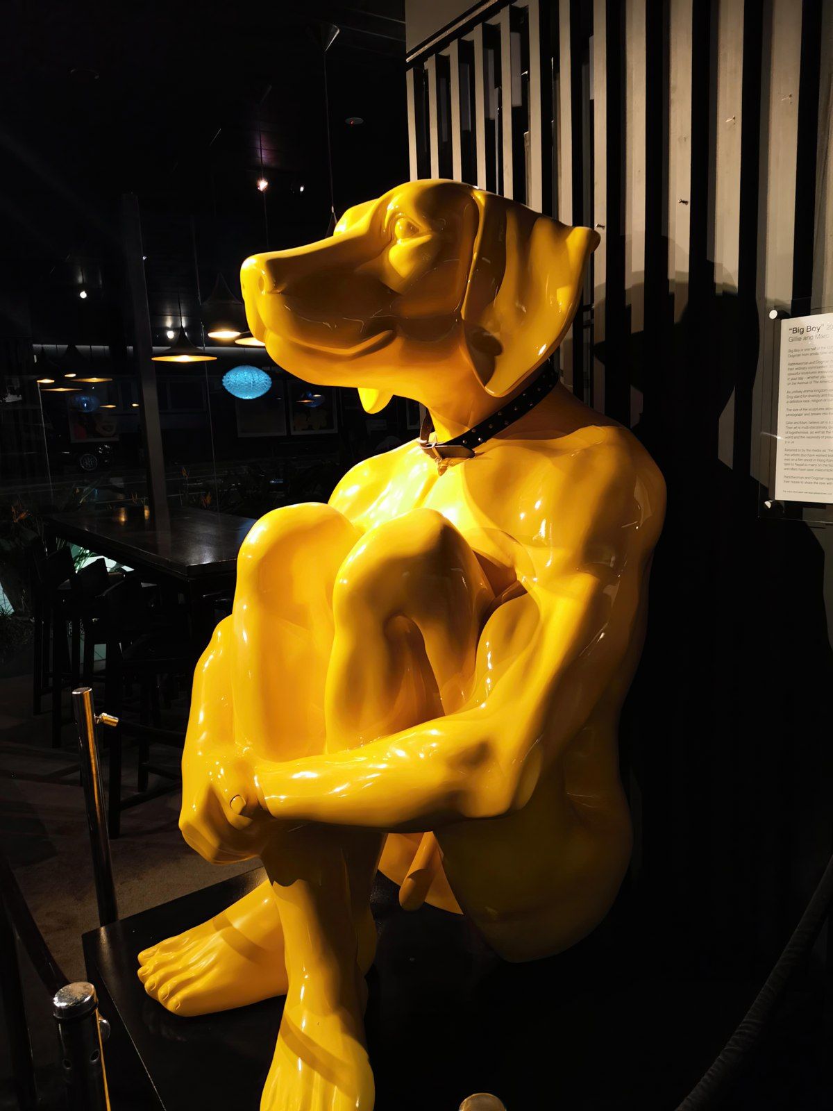 Gewoon een verzameling hilarische foto's #1801