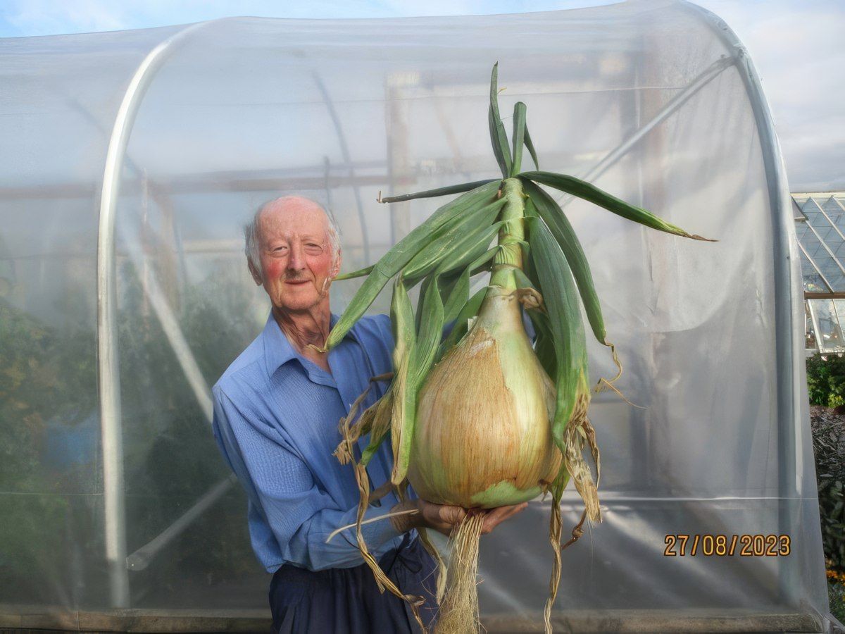 Gewoon een verzameling hilarische foto's #1801