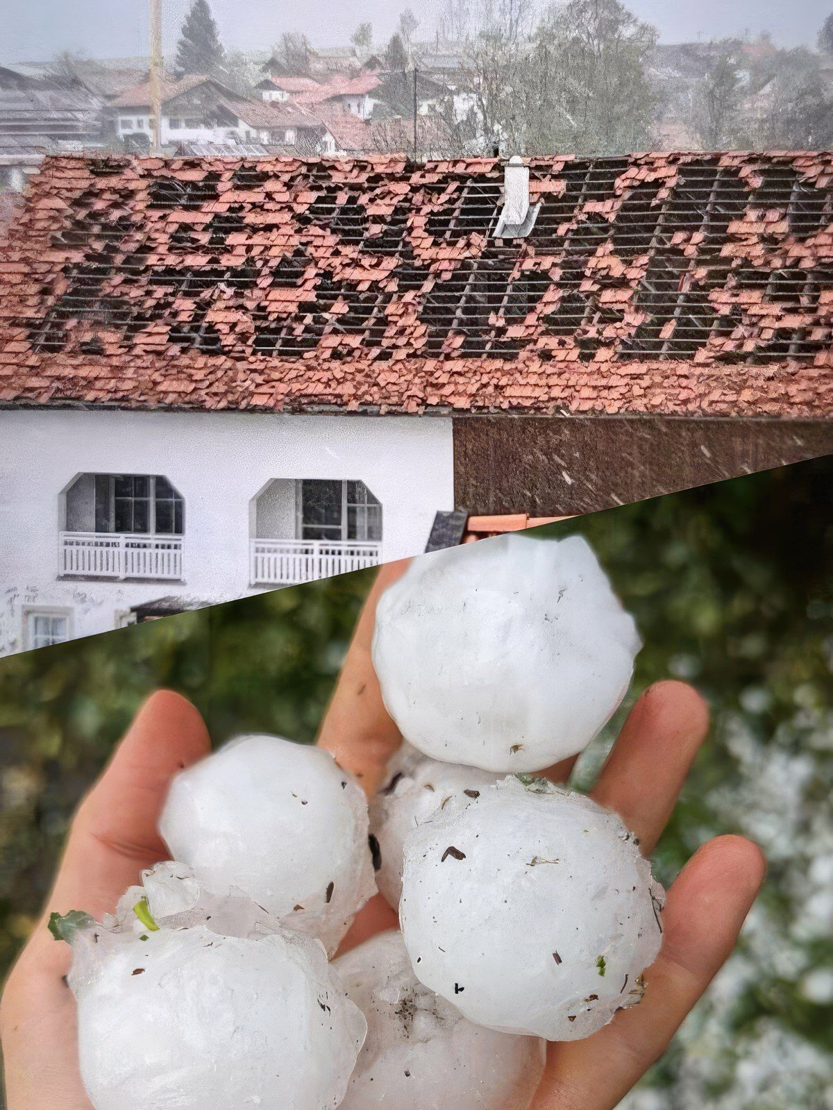 Gewoon een verzameling hilarische foto's #1801