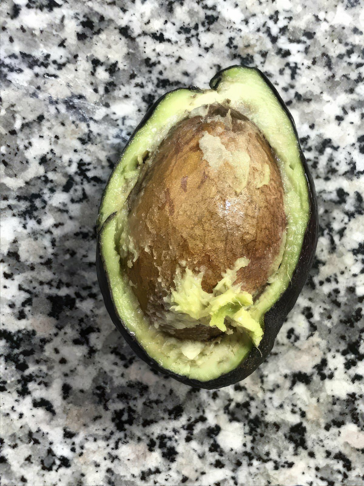 Gewoon een verzameling hilarische foto's #1801