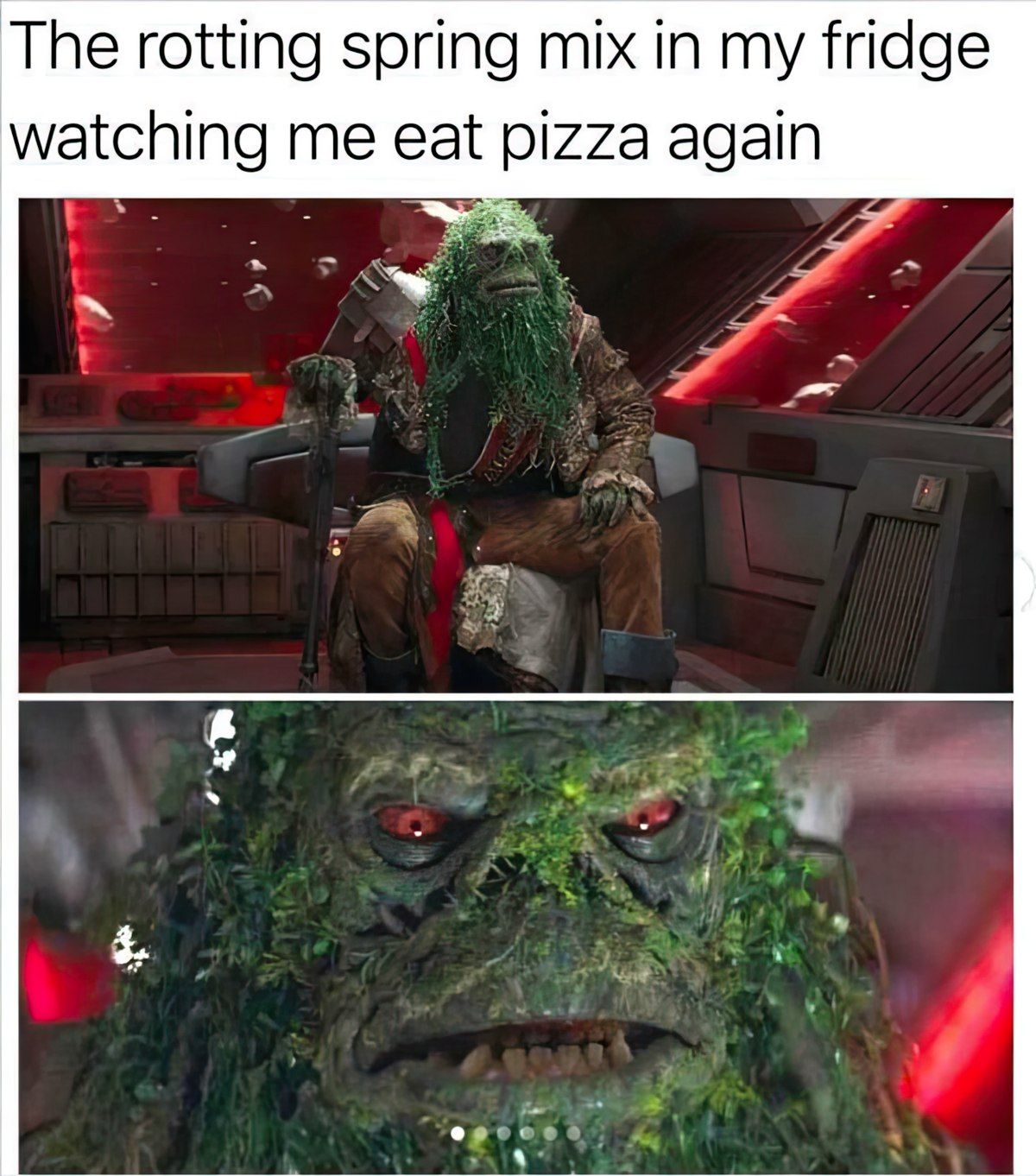 Gewoon een verzameling hilarische foto's #1801