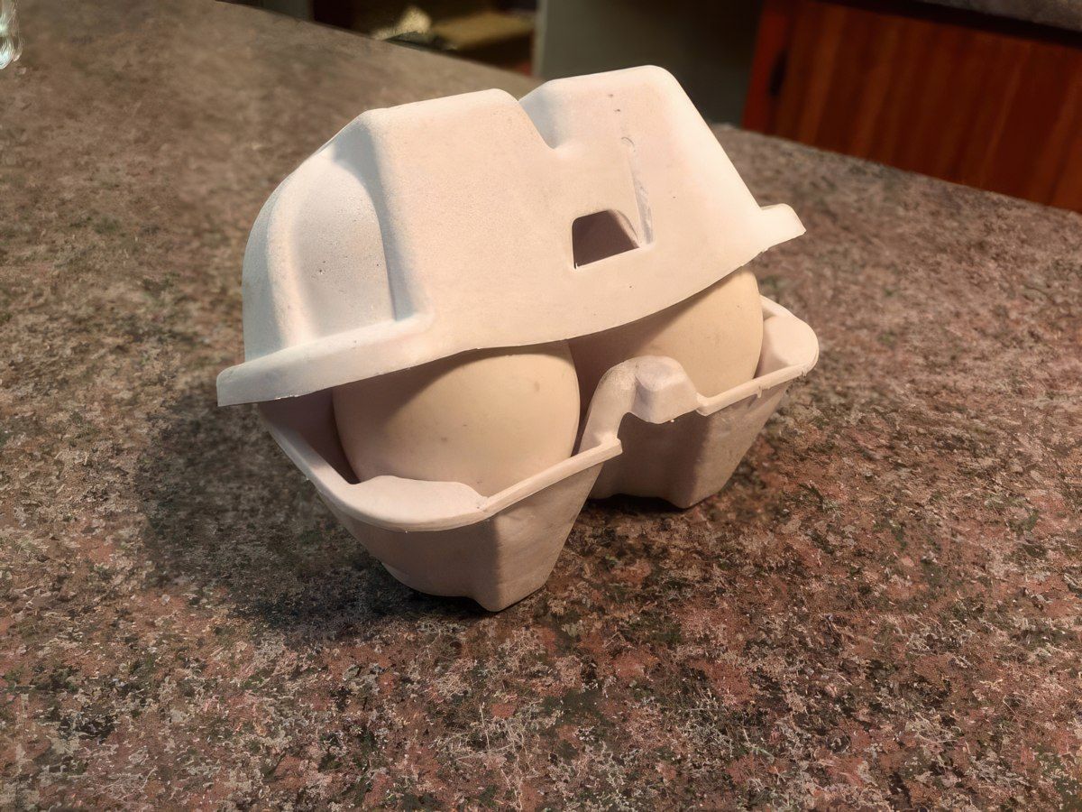 Gewoon een verzameling hilarische foto's #1801