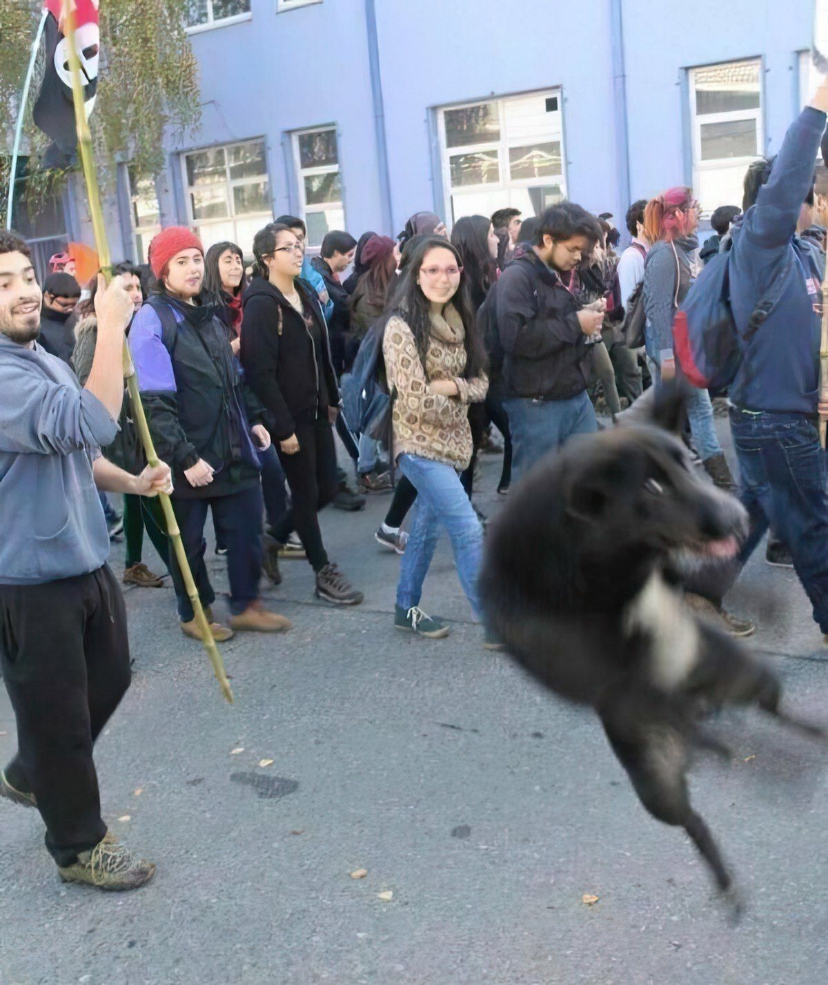 Gewoon een verzameling hilarische foto's #1801