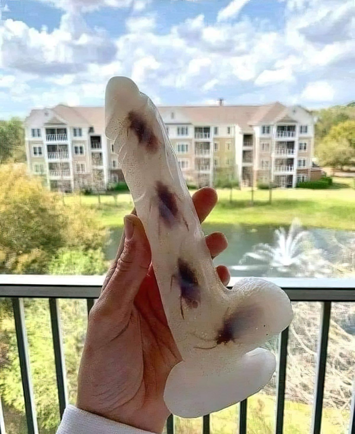 Gewoon een verzameling hilarische foto's #1801