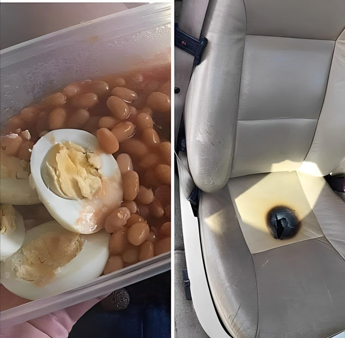 Gewoon een verzameling hilarische foto's #1801