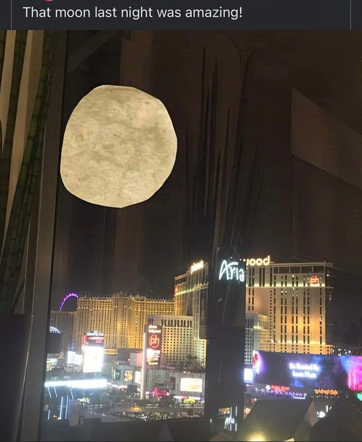 Gewoon een verzameling hilarische foto's #1801