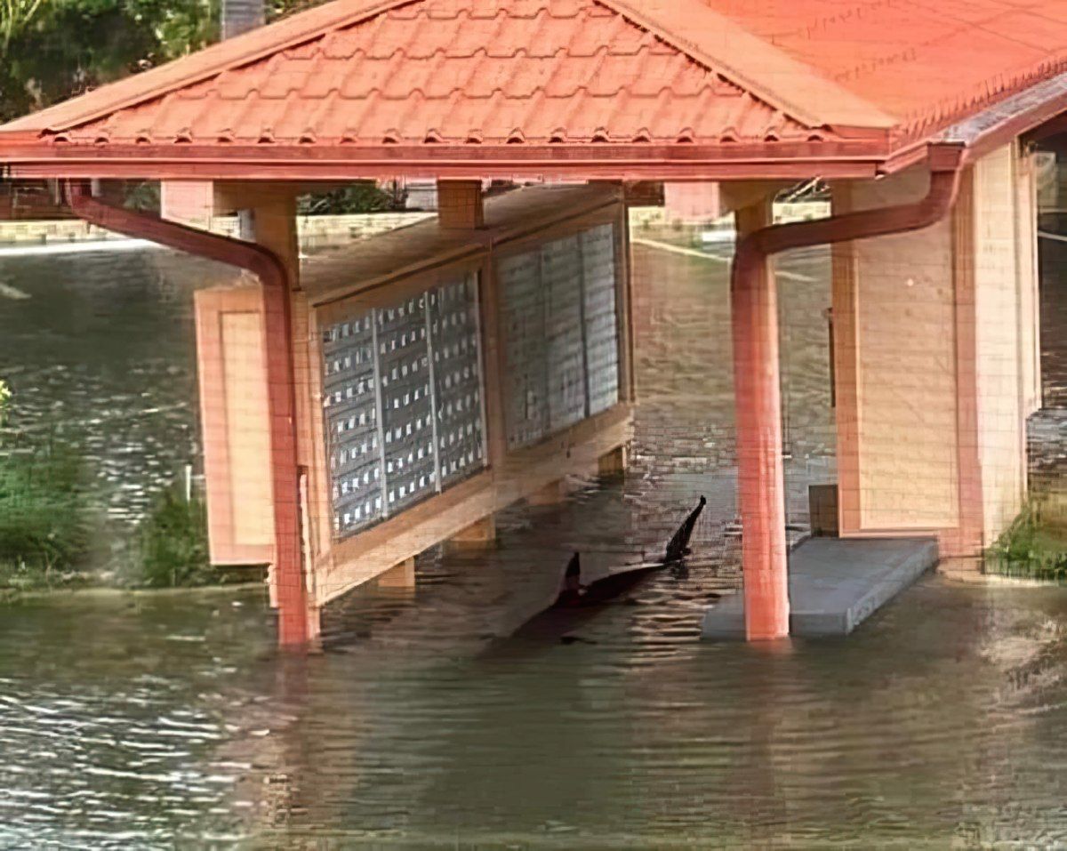 Gewoon een verzameling hilarische foto's #1801
