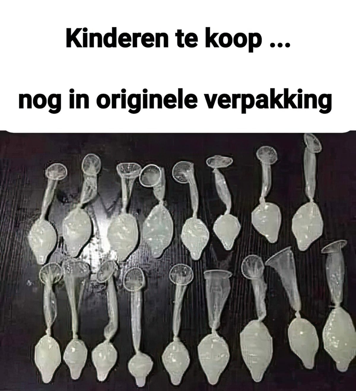 Gewoon een verzameling hilarische foto's #1801