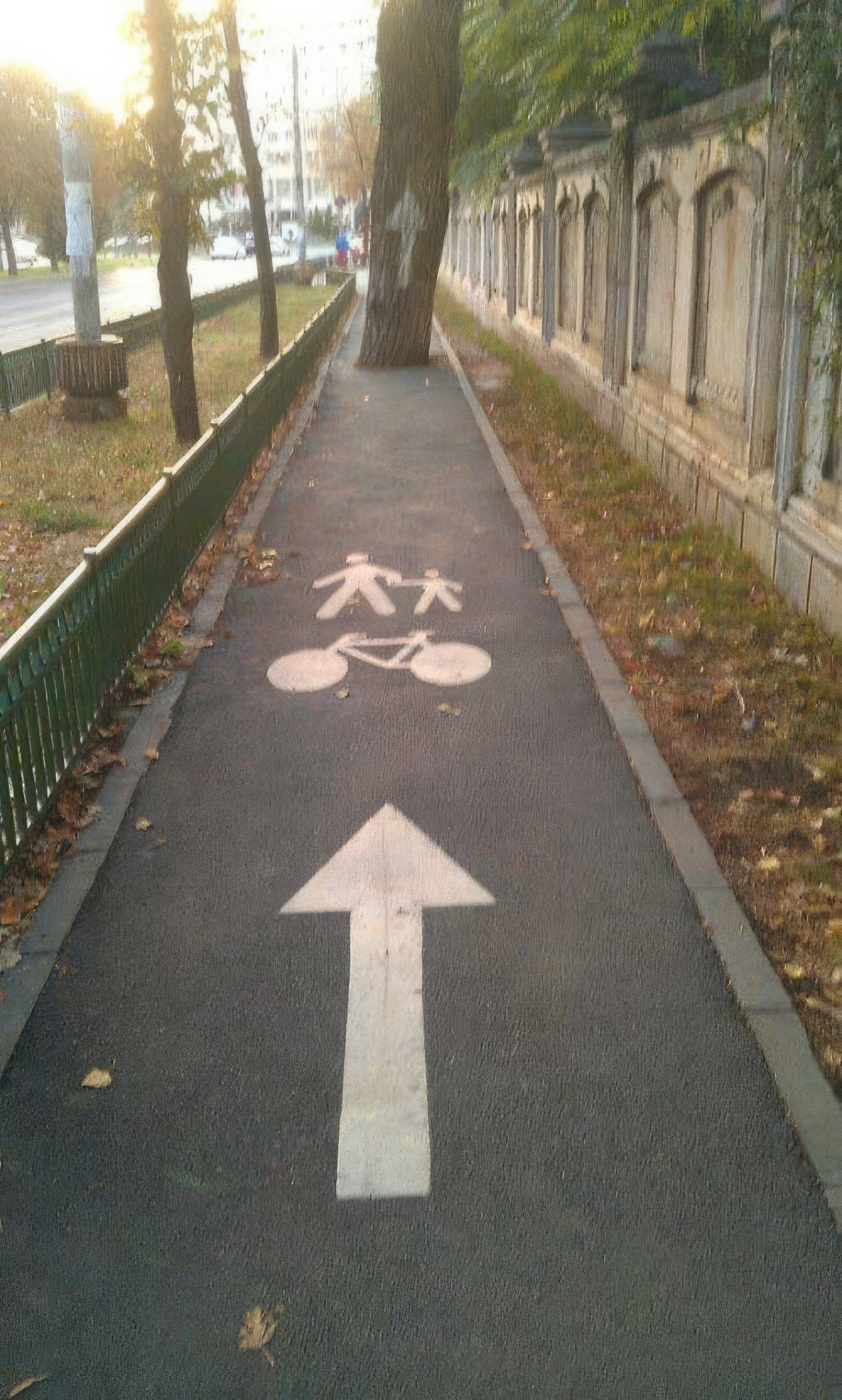 Gewoon een verzameling hilarische foto's #1801