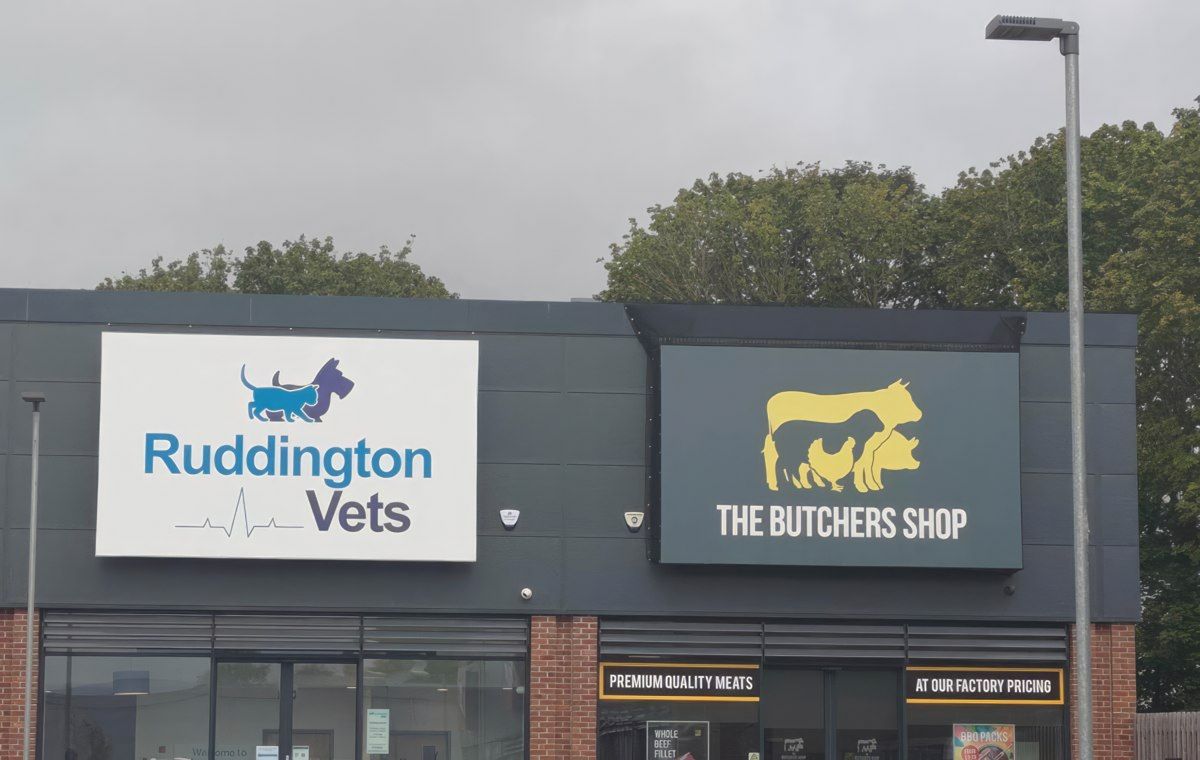 Gewoon een verzameling hilarische foto's #1801