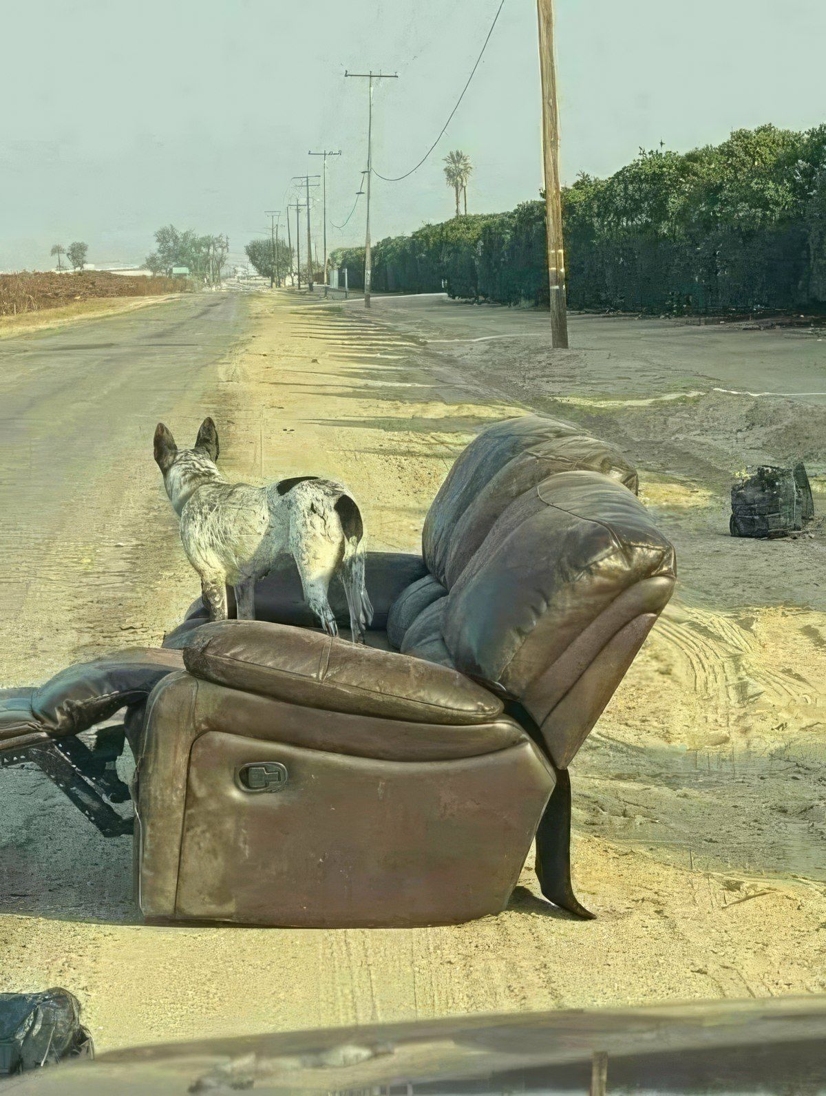 Gewoon een verzameling hilarische foto's #1802