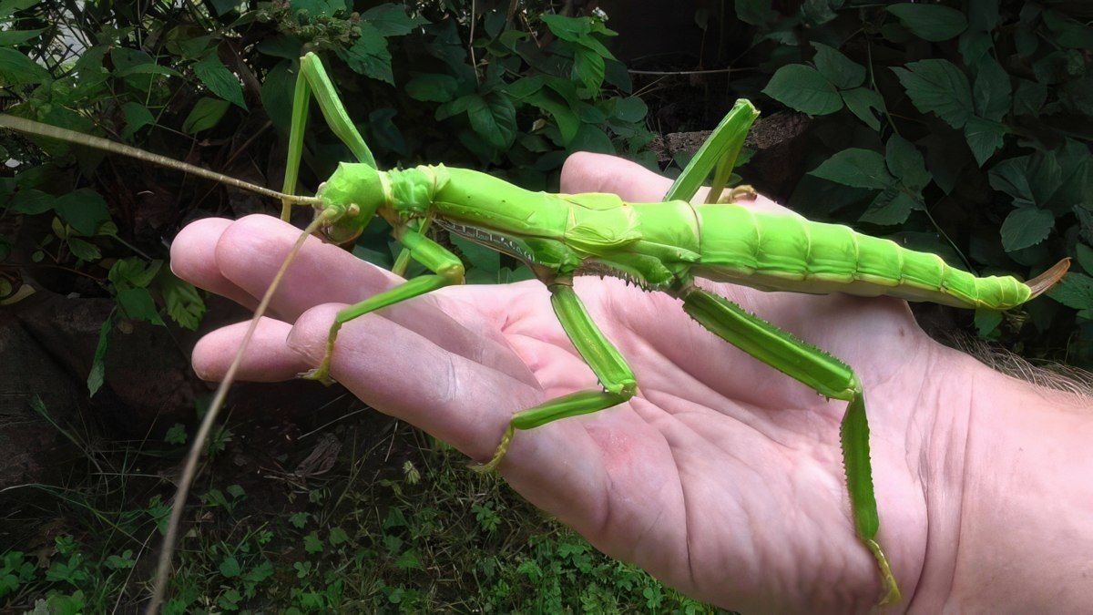 Gewoon een verzameling hilarische foto's #1802