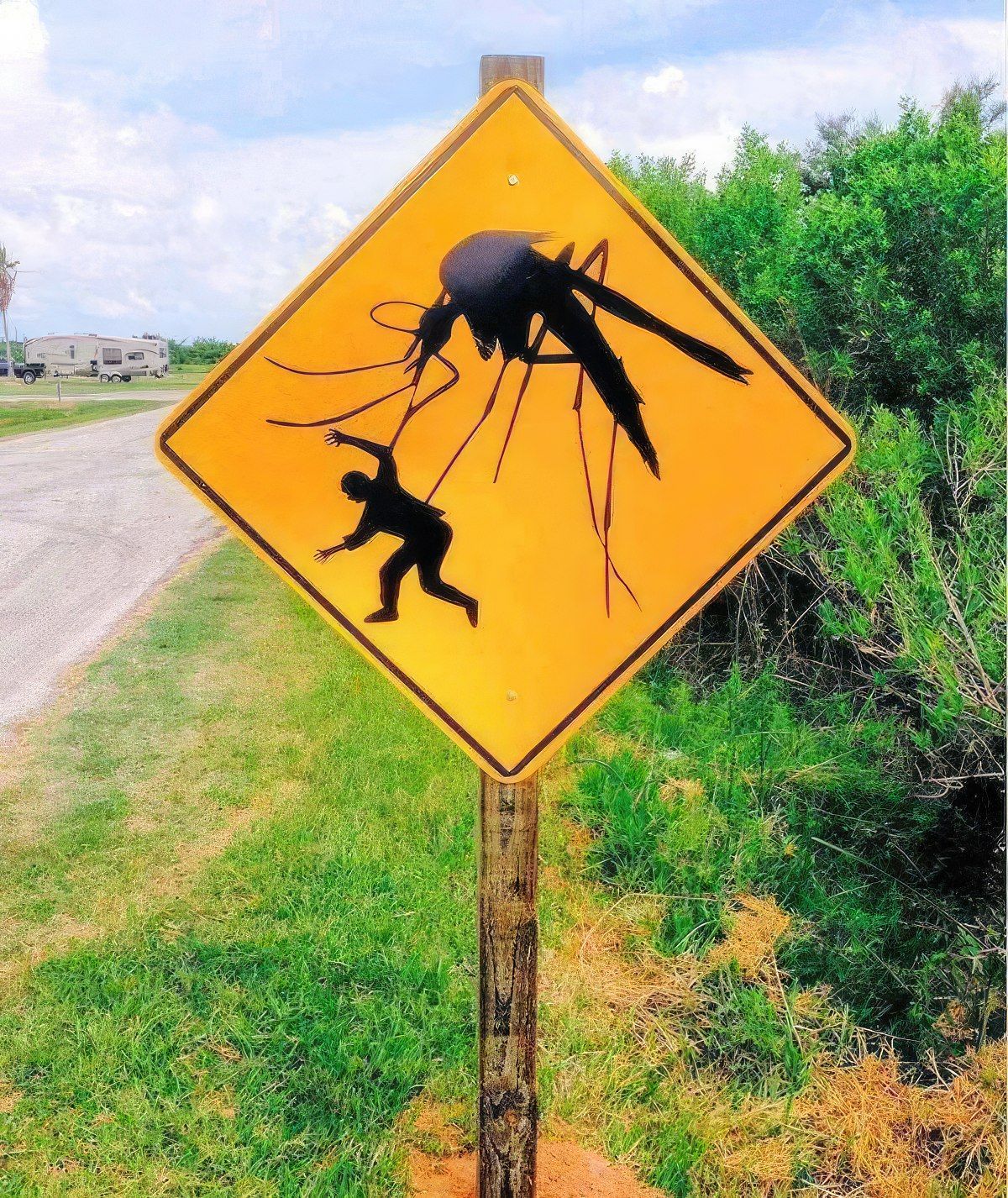 Gewoon een verzameling hilarische foto's #1802