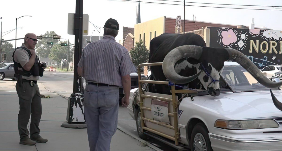 Gewoon een verzameling hilarische foto's #1802