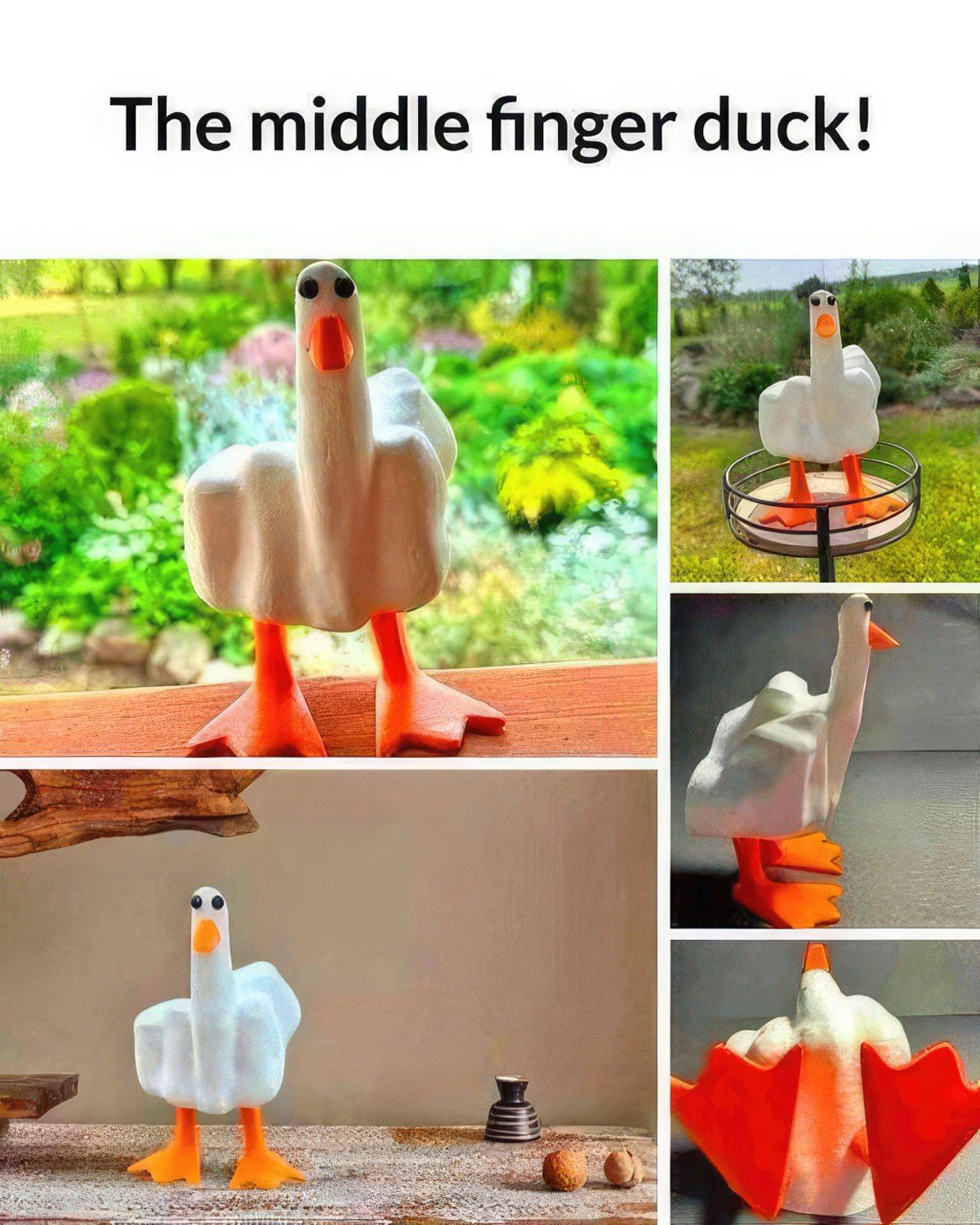 Gewoon een verzameling hilarische foto's #1802