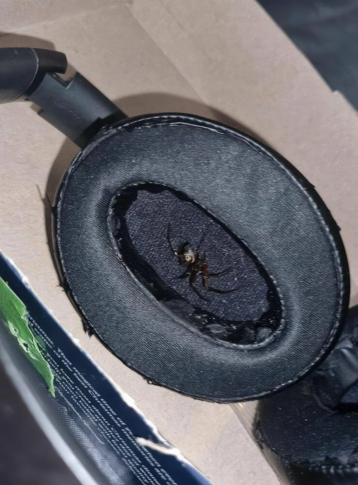 Gewoon een verzameling hilarische foto's #1802