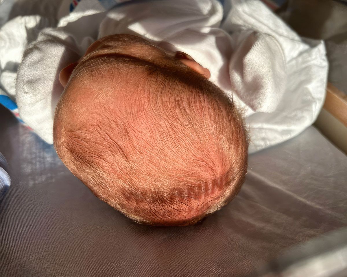 Gewoon een verzameling hilarische foto's #1802