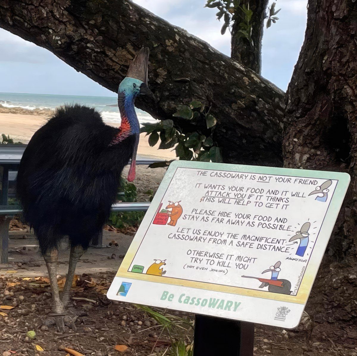 Gewoon een verzameling hilarische foto's #1802