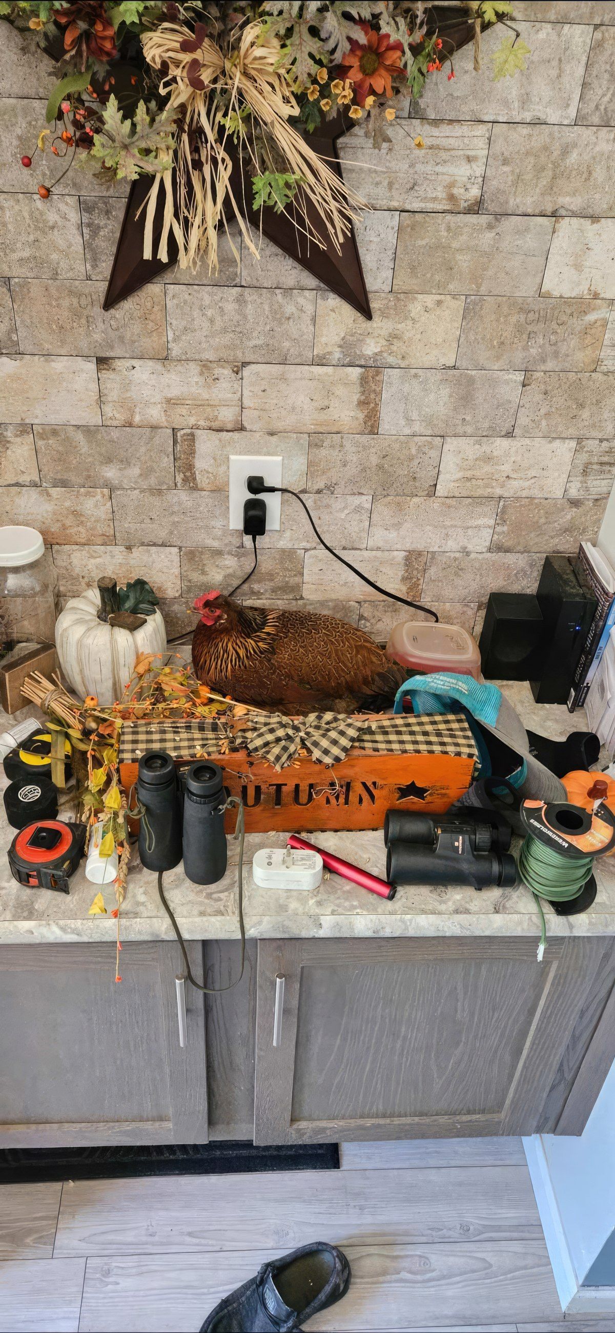 Gewoon een verzameling hilarische foto's #1802