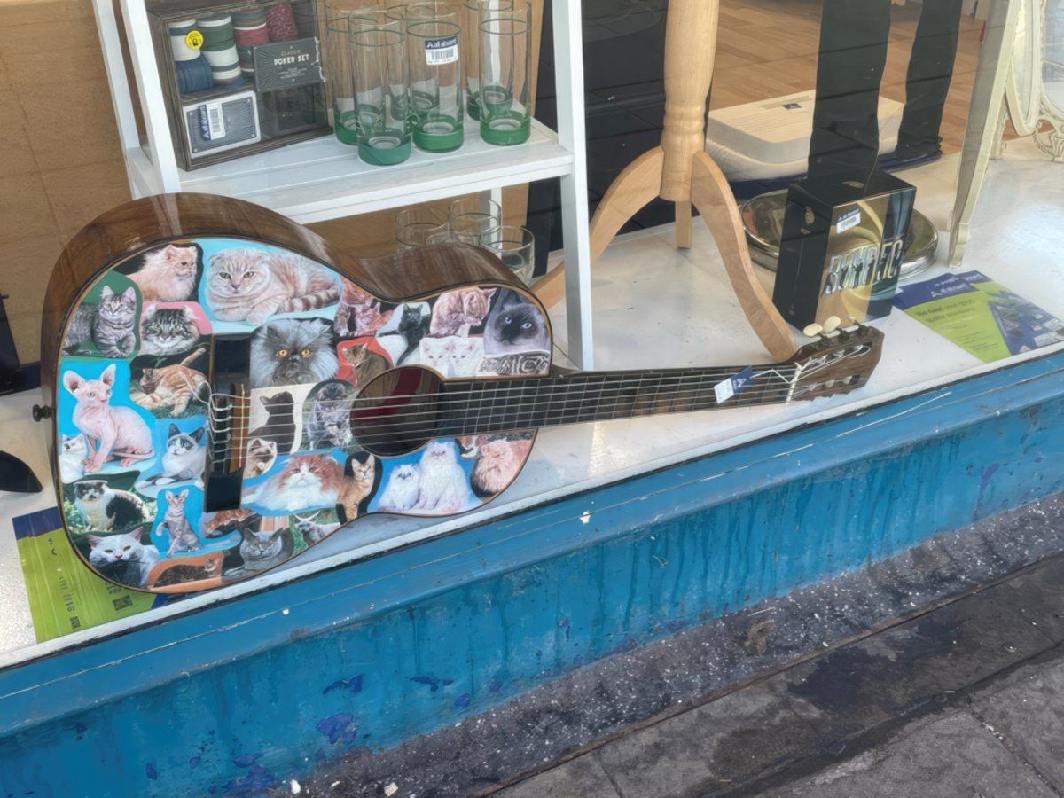 Gewoon een verzameling hilarische foto's #1802