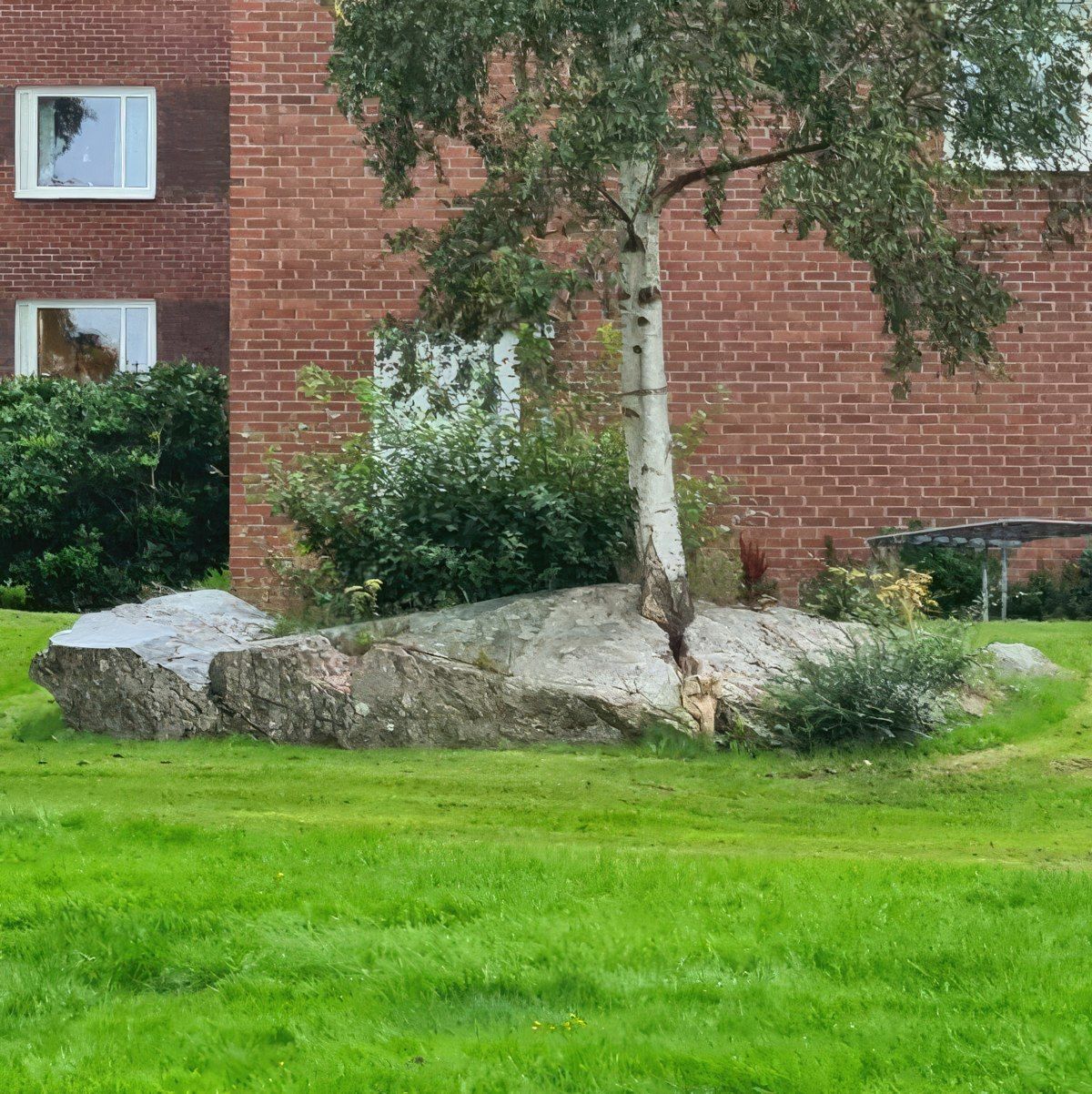 Gewoon een verzameling hilarische foto's #1803