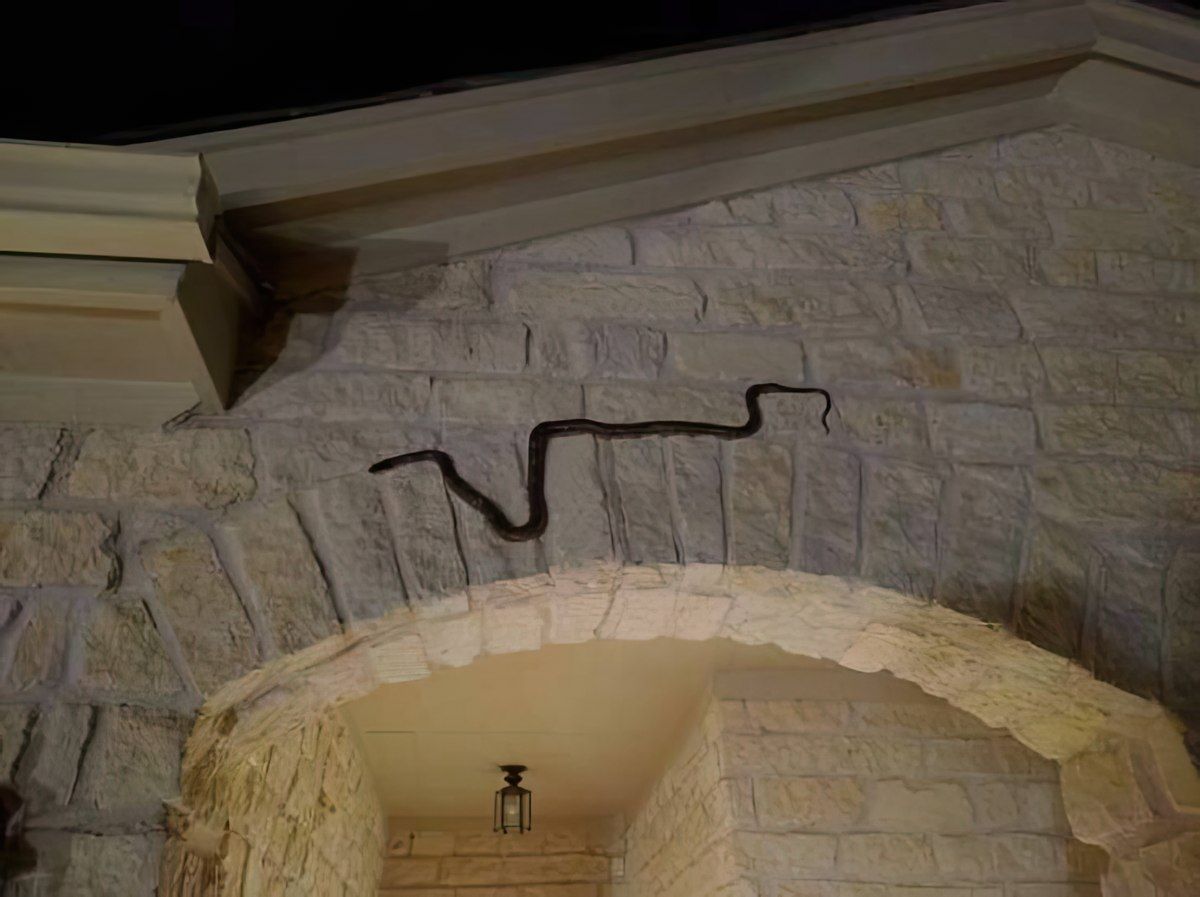 Gewoon een verzameling hilarische foto's #1803