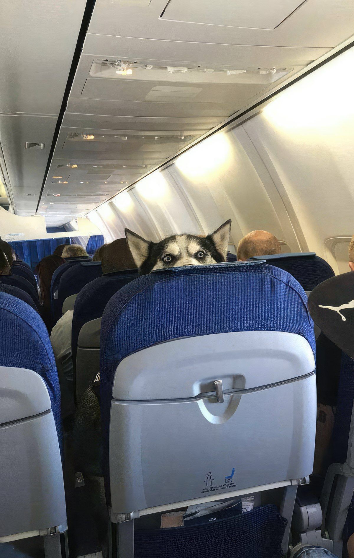 Gewoon een verzameling hilarische foto's #1803