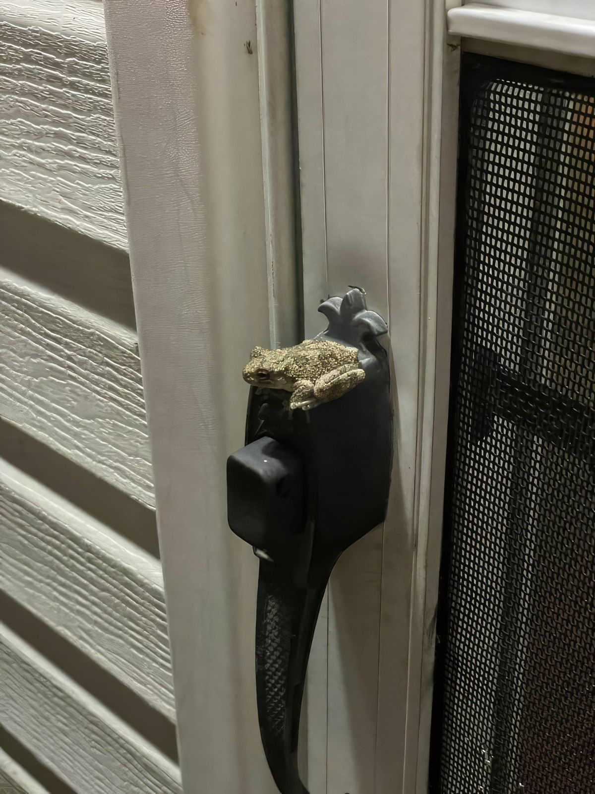 Gewoon een verzameling hilarische foto's #1803