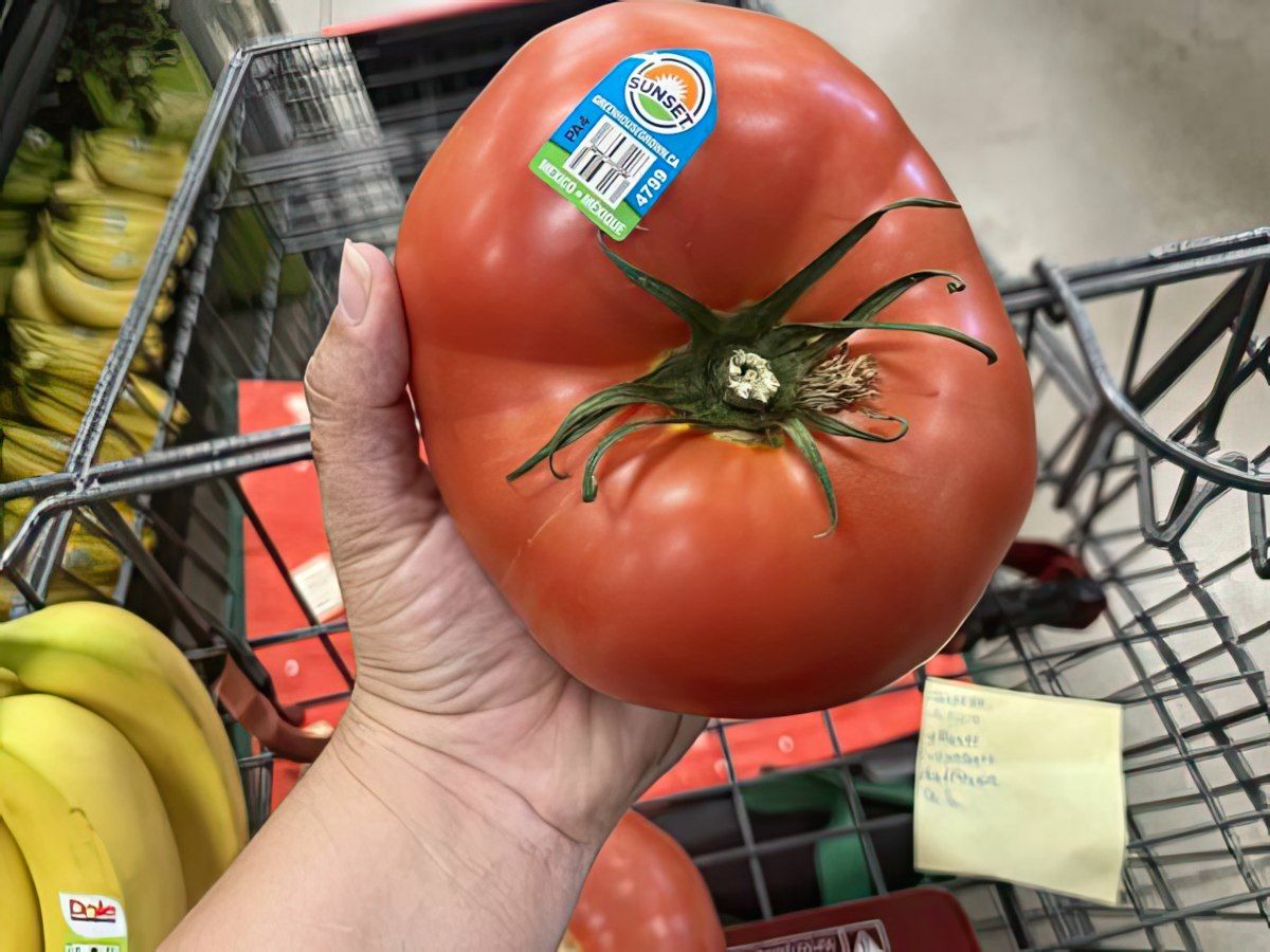 Gewoon een verzameling hilarische foto's #1803