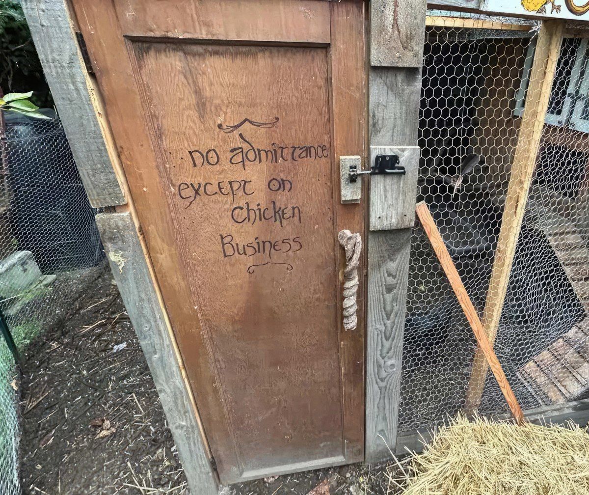 Gewoon een verzameling hilarische foto's #1803