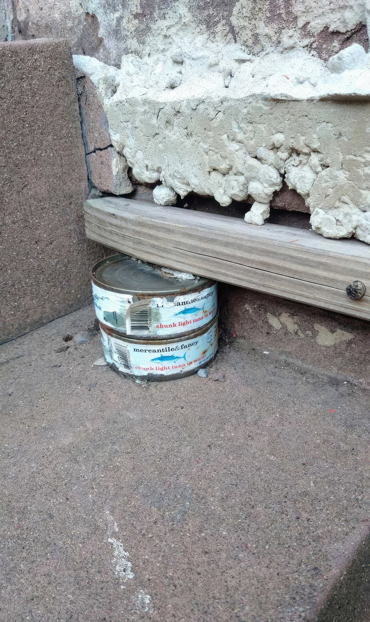 Gewoon een verzameling hilarische foto's #1803