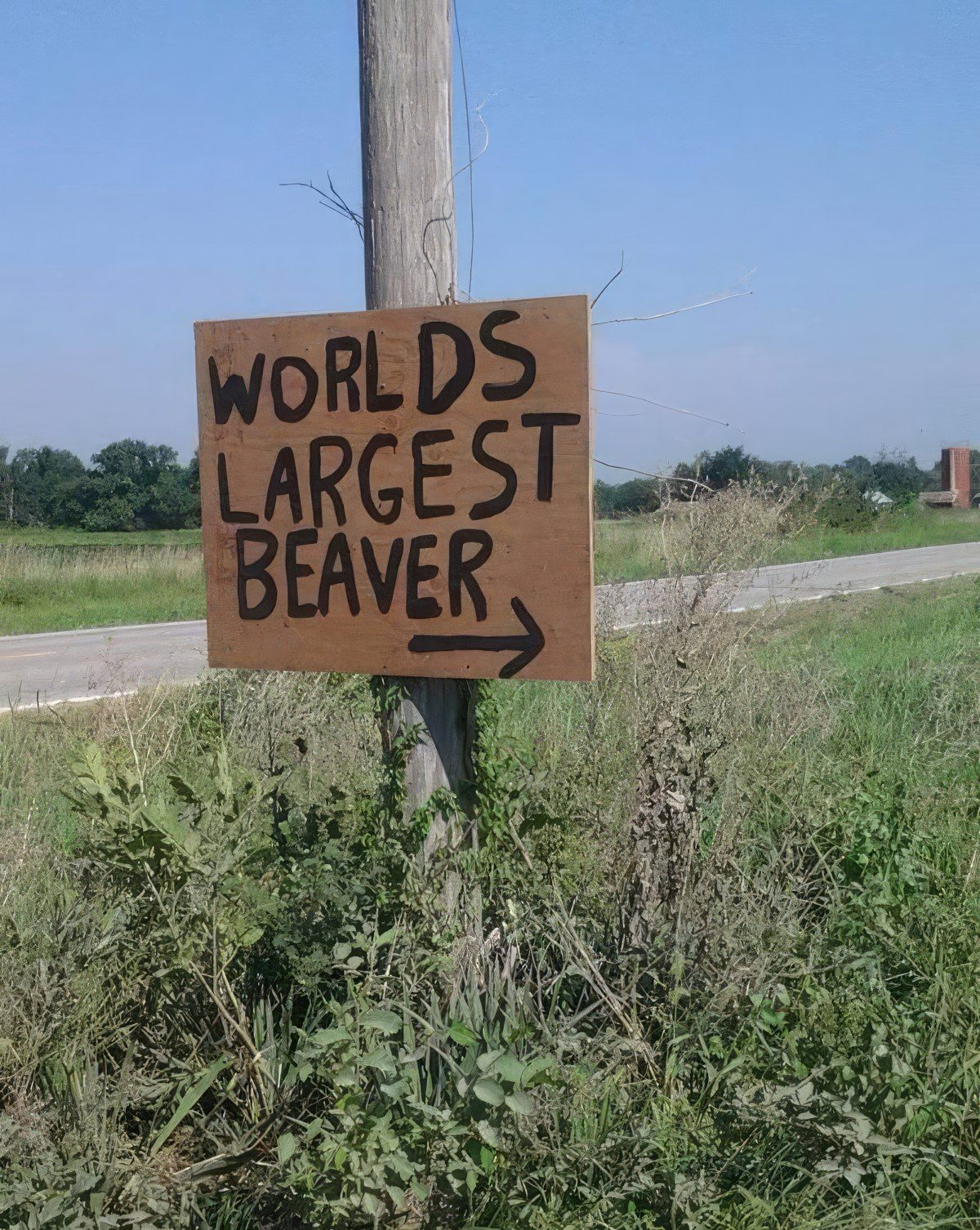 Gewoon een verzameling hilarische foto's #1803