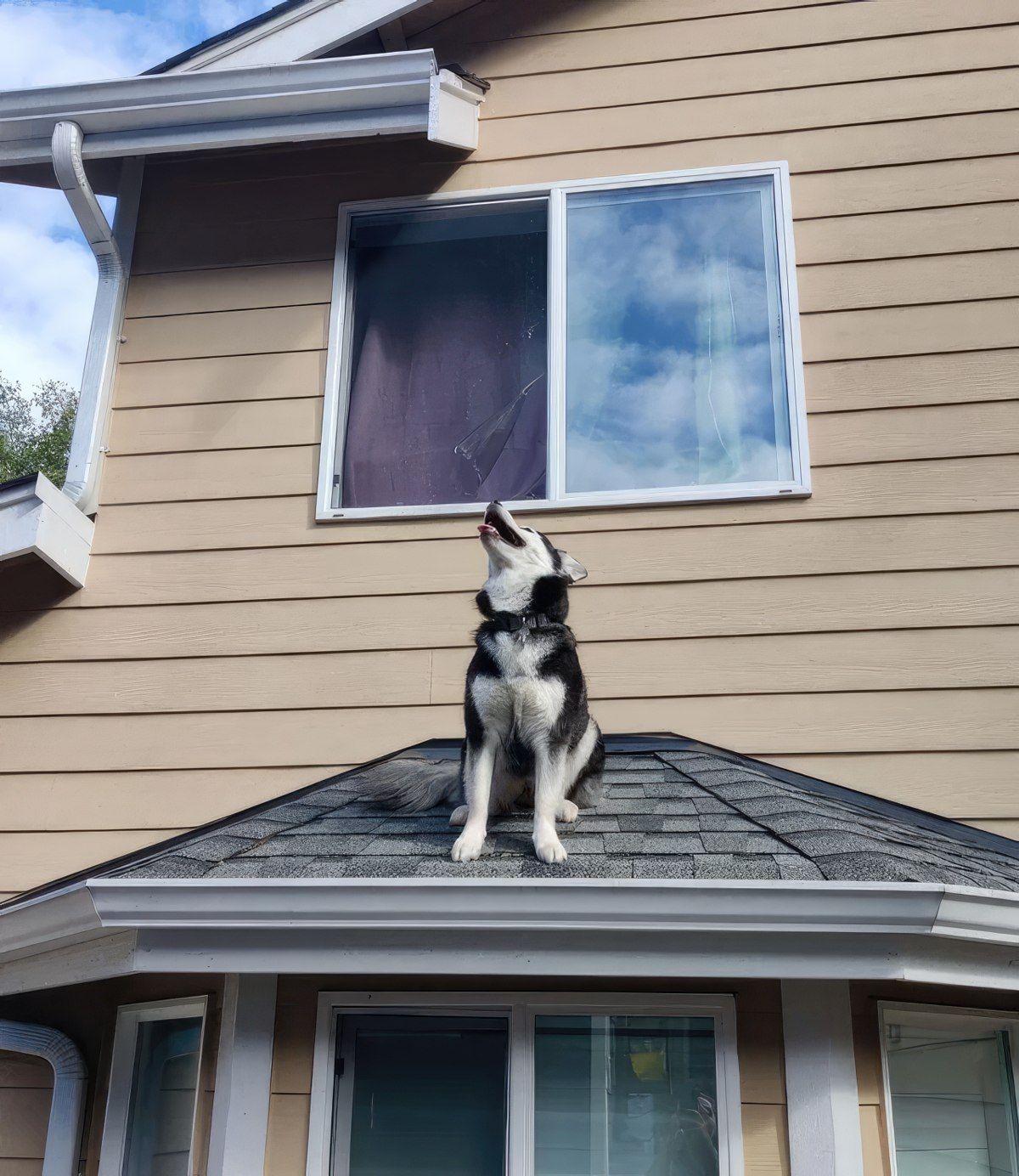 Gewoon een verzameling hilarische foto's #1803