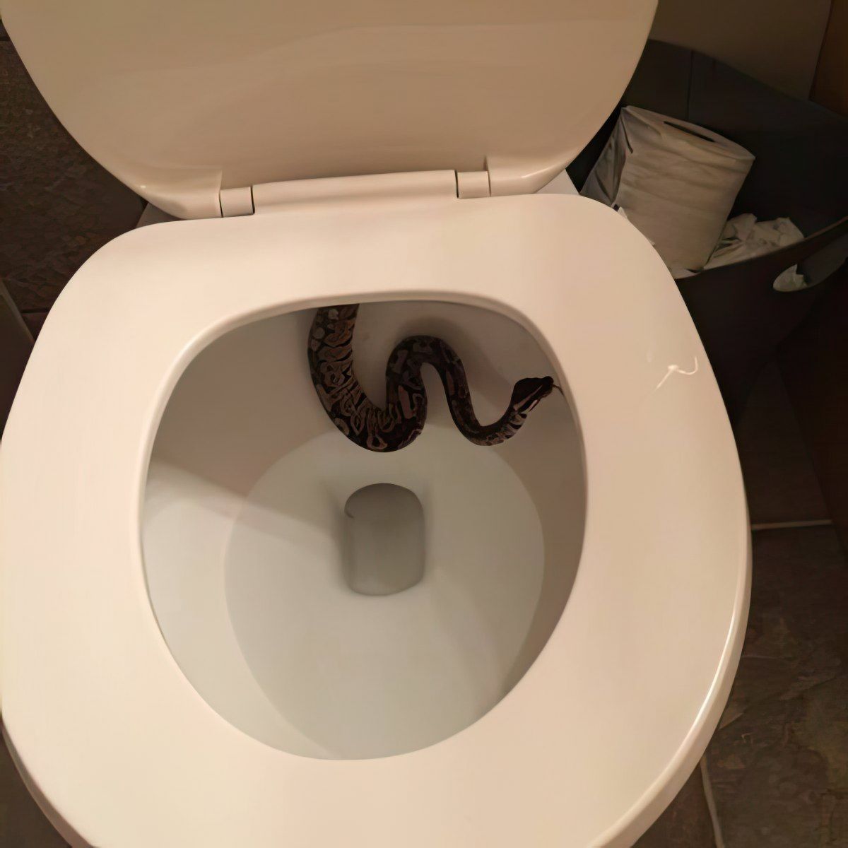 Gewoon een verzameling hilarische foto's #1807