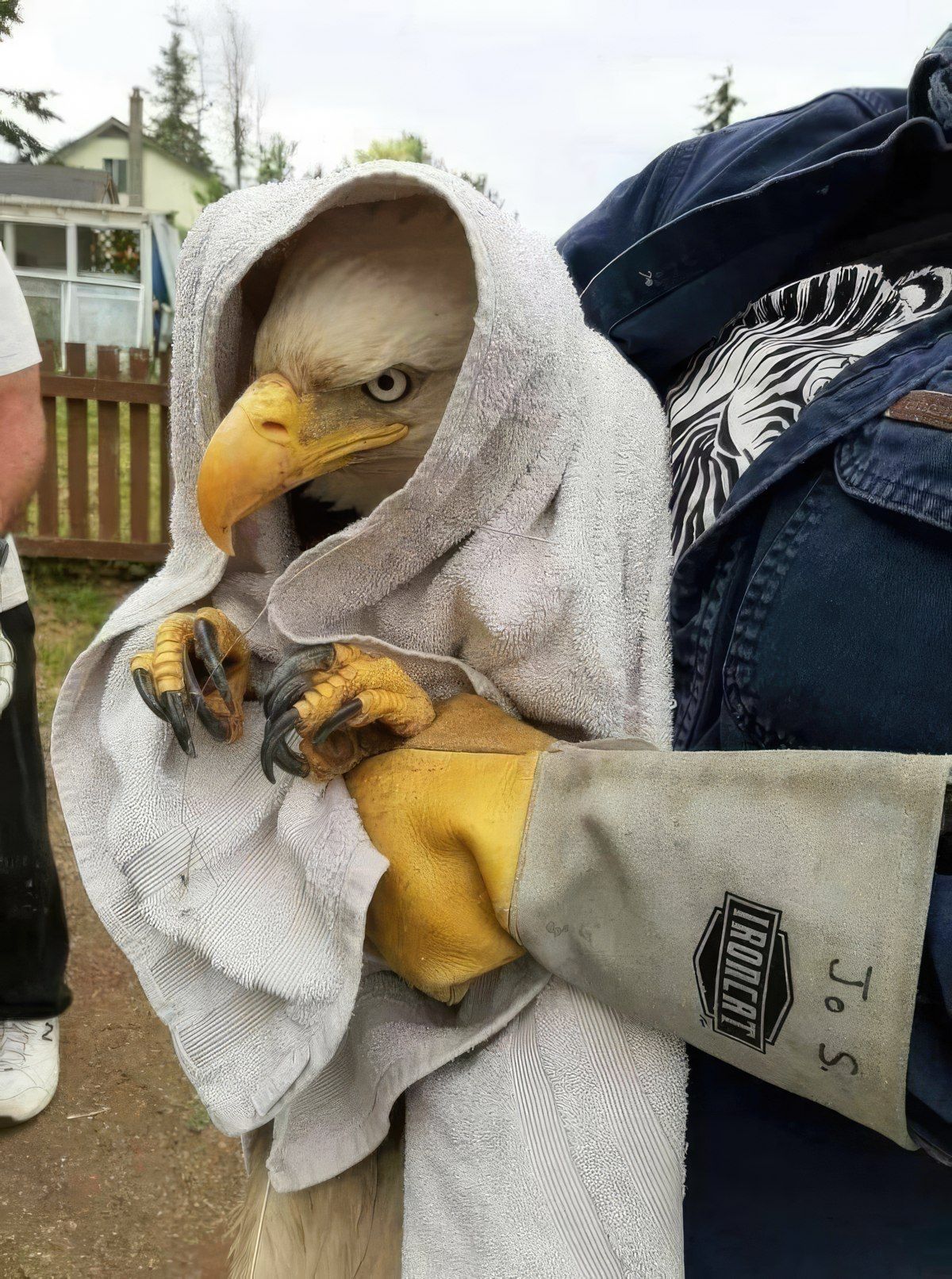 Gewoon een verzameling hilarische foto's #1807