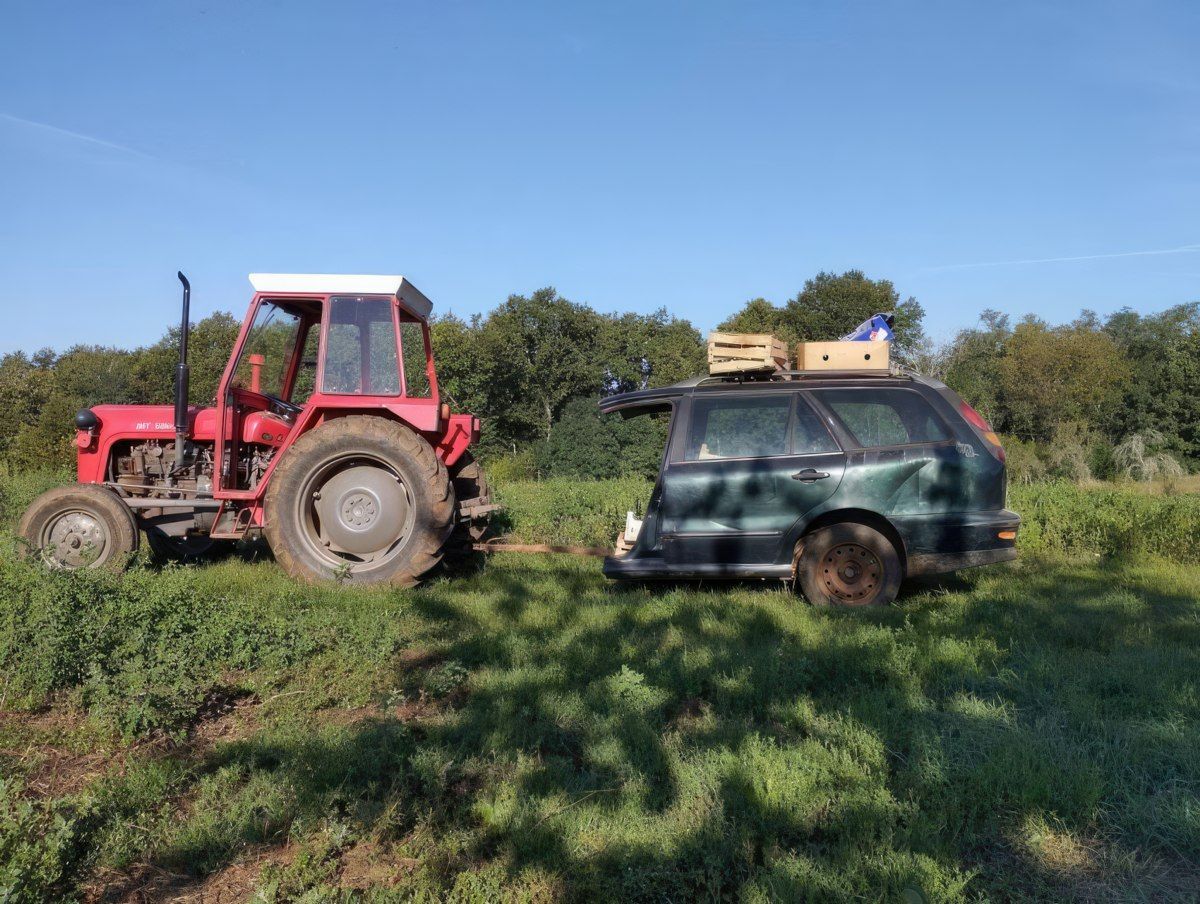 Gewoon een verzameling hilarische foto's #1808