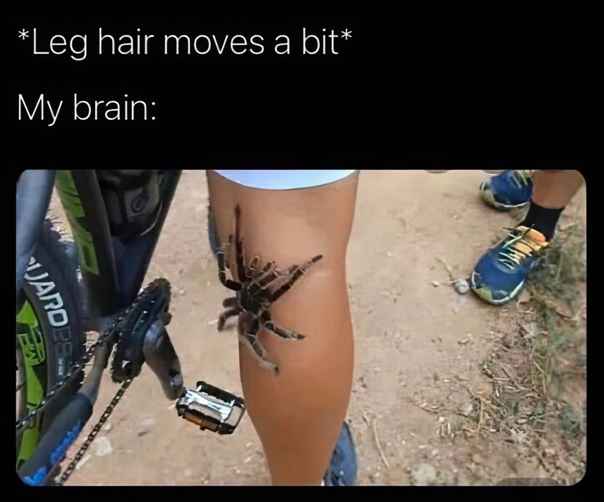 Gewoon een verzameling hilarische foto's #1808