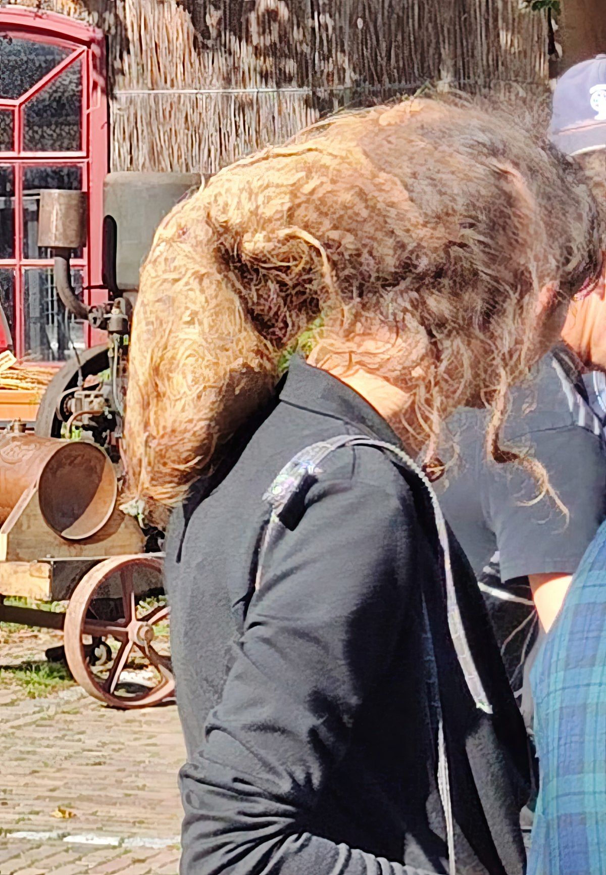 Gewoon een verzameling hilarische foto's #1811