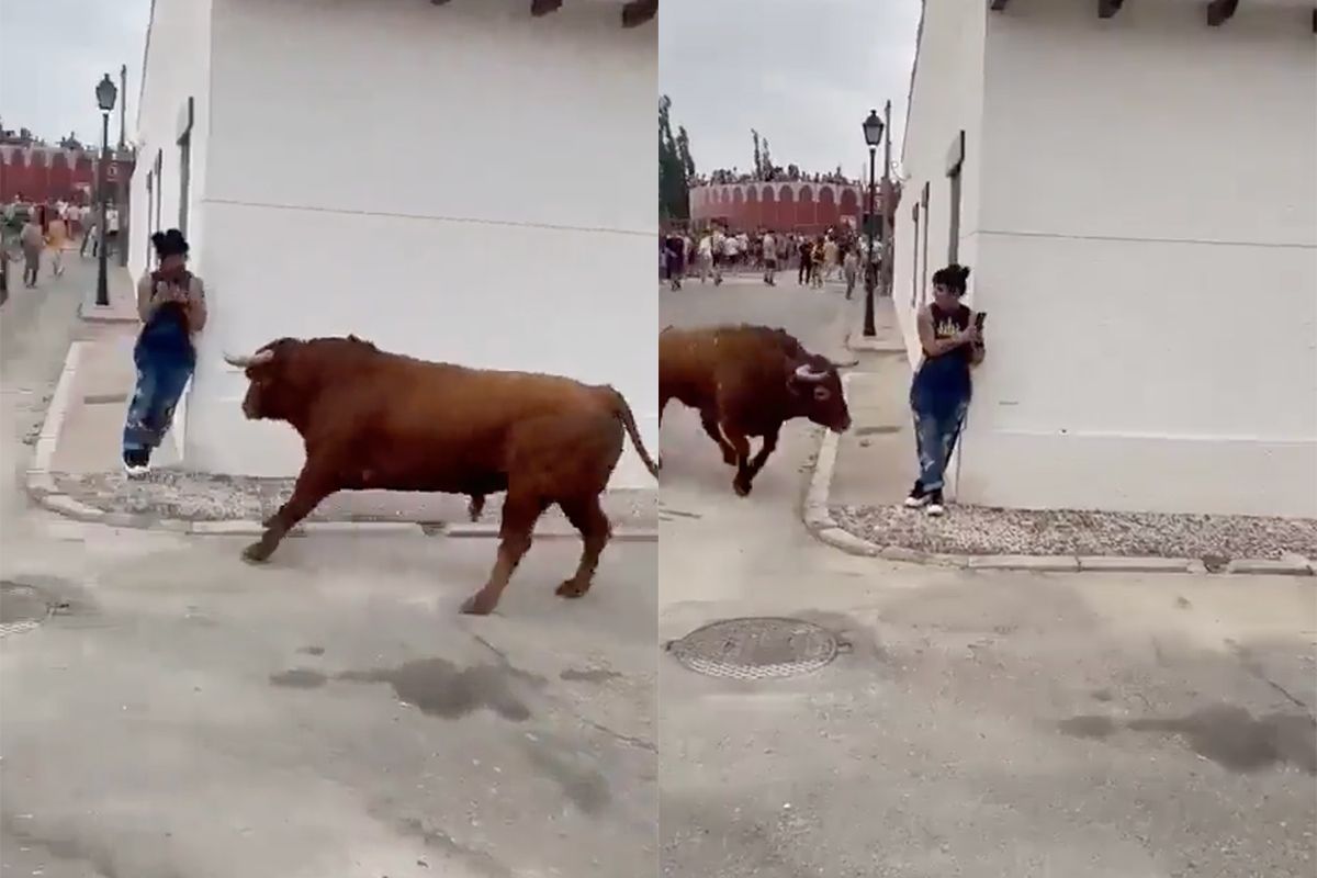 Op je telefoon zitten met dolle stier in de buurt is slechtste idee ooit