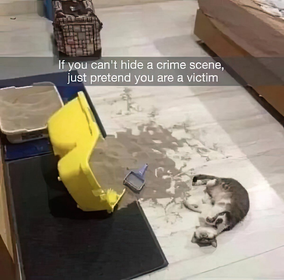 Gewoon een verzameling hilarische foto's #1819