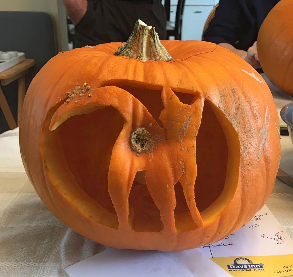 Gewoon een verzameling hilarische foto's #1820