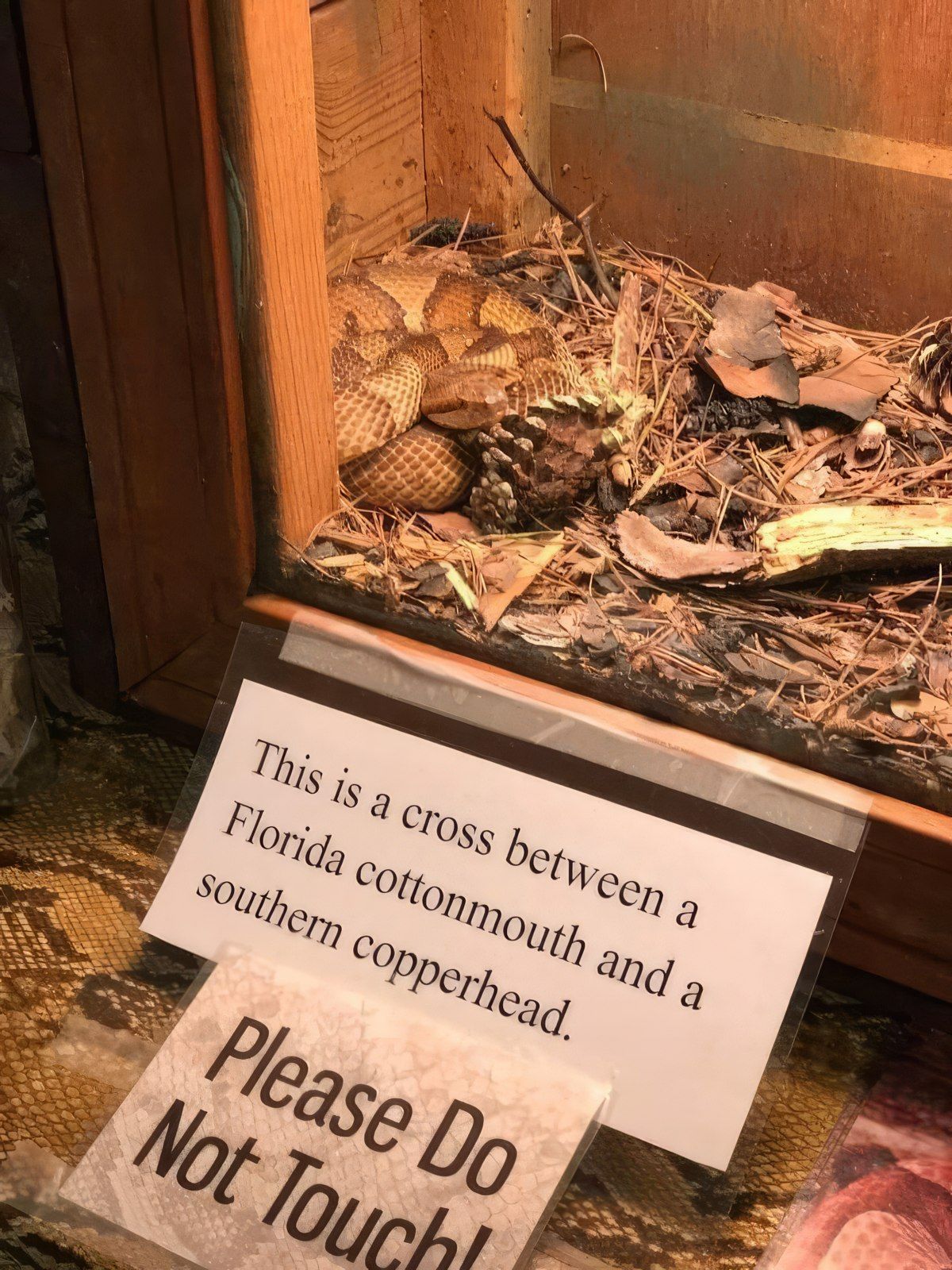 Gewoon een verzameling hilarische foto's #1820