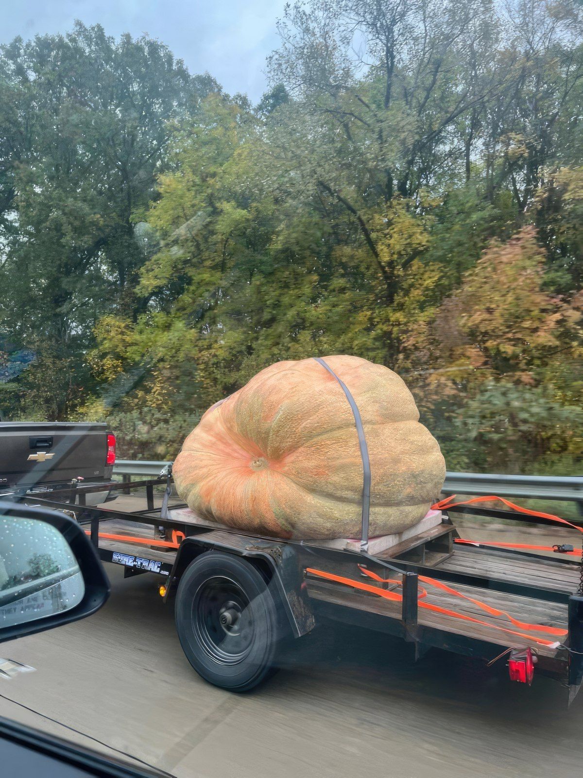Gewoon een verzameling hilarische foto's #1821